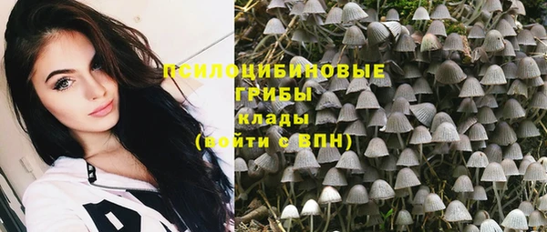 PSILOCYBIN Алзамай